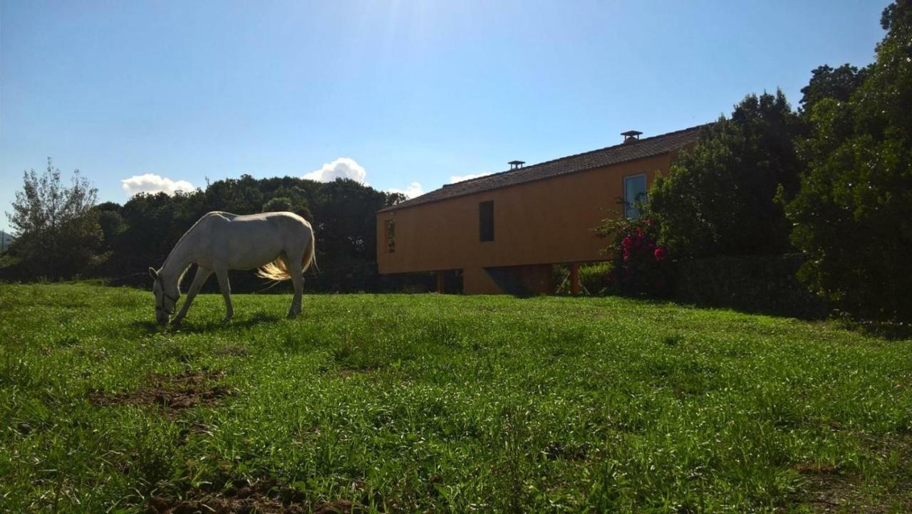 Quinta Da Falesia - Casa Amarela Ponta Delgada Eksteriør bilde