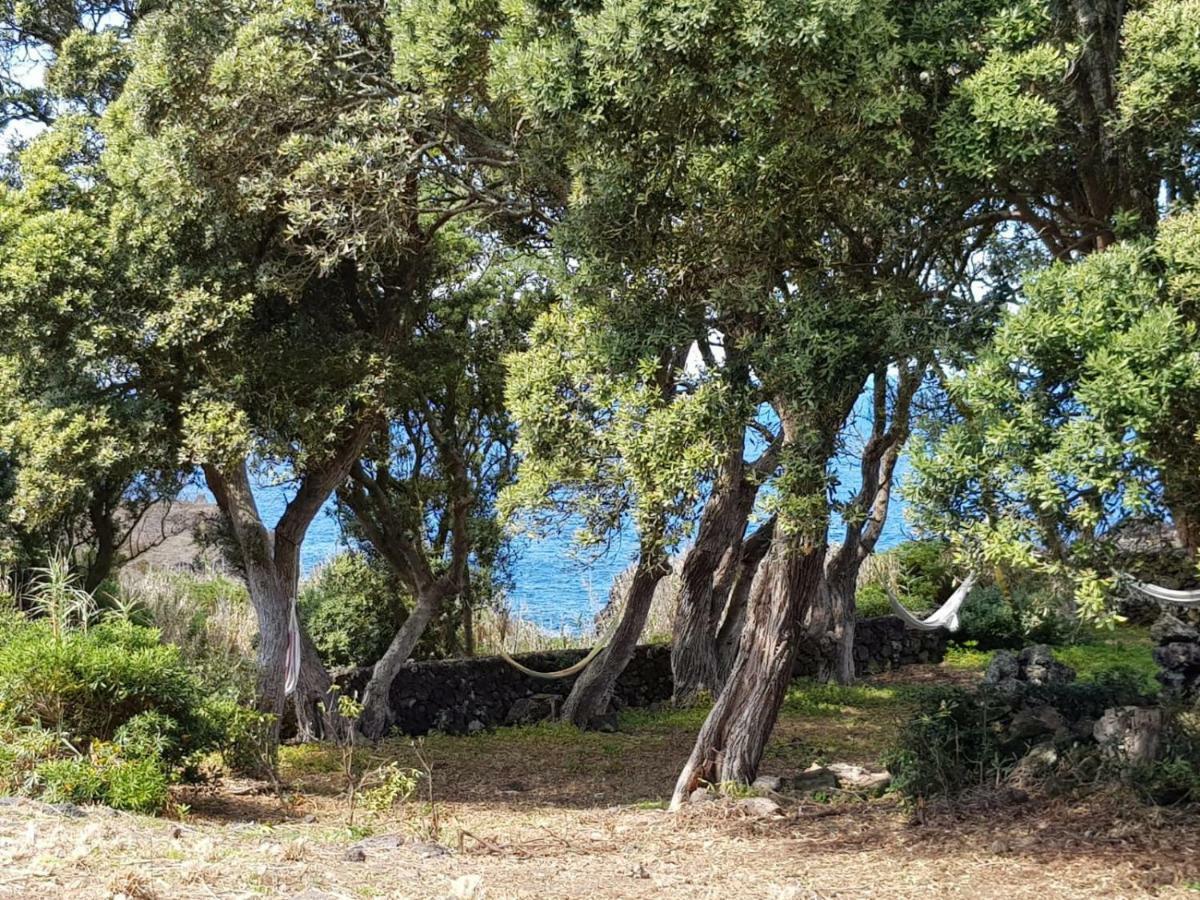 Quinta Da Falesia - Casa Amarela Ponta Delgada Eksteriør bilde