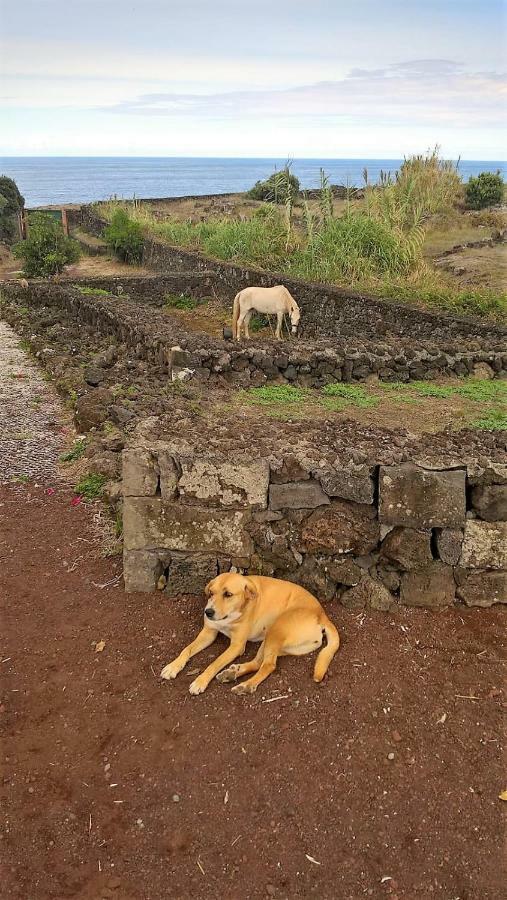 Quinta Da Falesia - Casa Amarela Ponta Delgada Eksteriør bilde